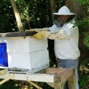 Meet your Posher, Dana